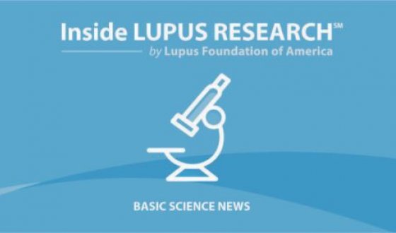 Inside Lupus Research | Lupus Foundation Of America